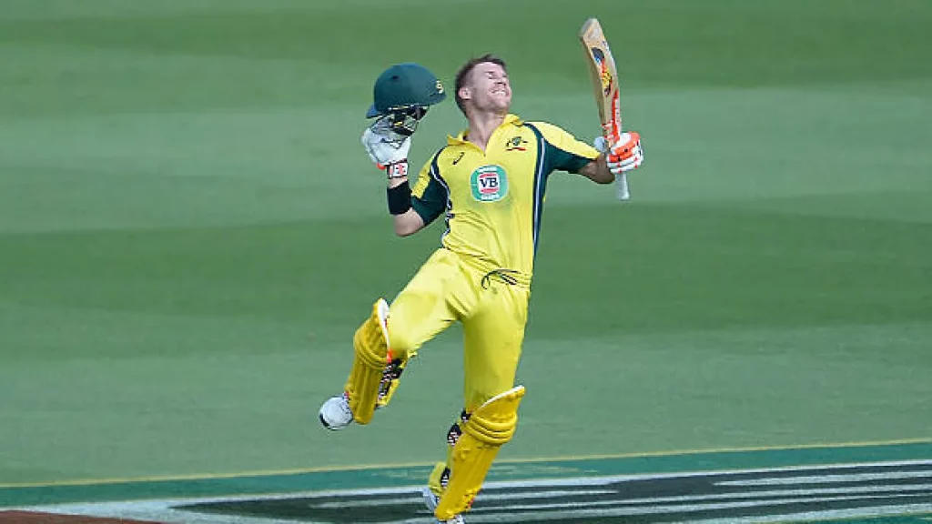 David Warner Celebration